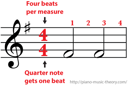 4/4 Time Signature Four beats per measure and a half note gets two beat